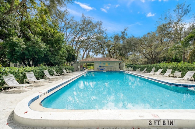 view of swimming pool with a patio area