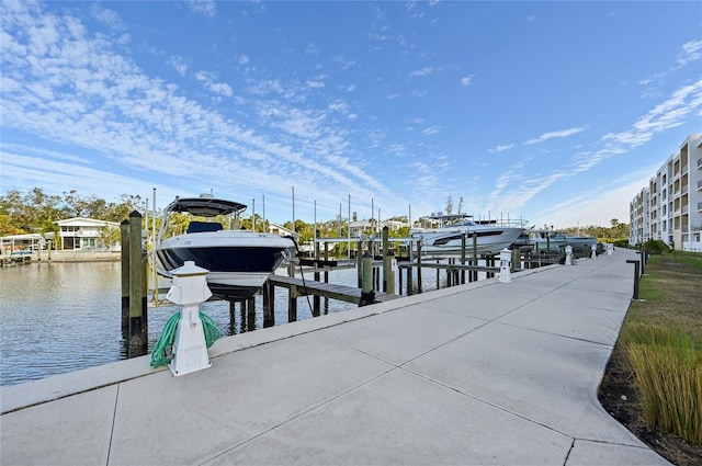 dock area with a water view