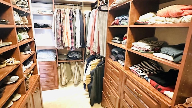 walk in closet featuring carpet