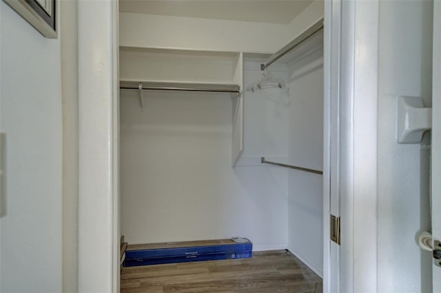 spacious closet featuring dark hardwood / wood-style floors