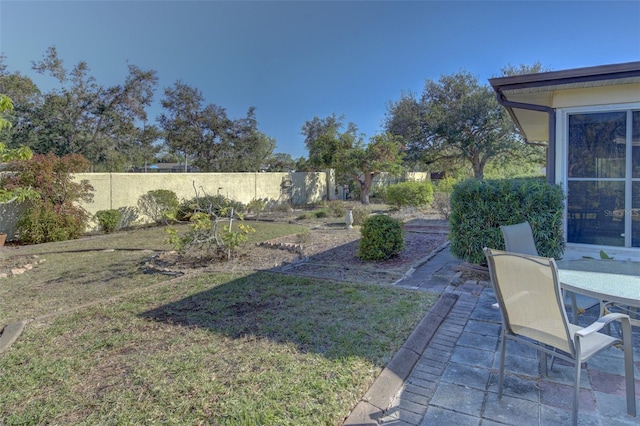 view of yard featuring a patio area