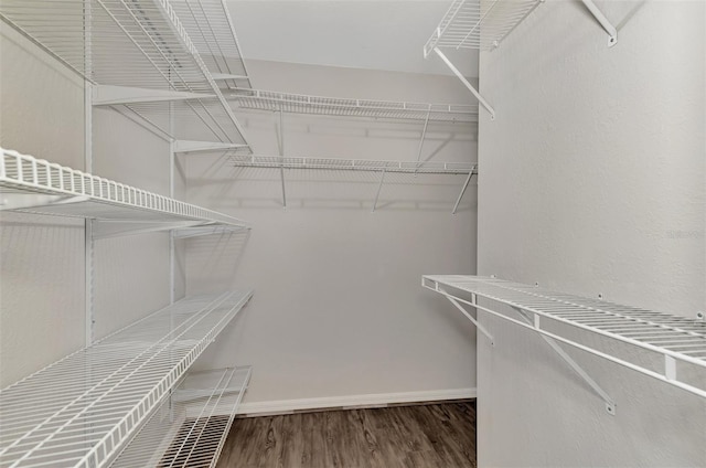 walk in closet featuring wood finished floors