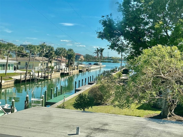 dock area with a water view