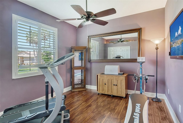 workout room with dark hardwood / wood-style flooring and ceiling fan