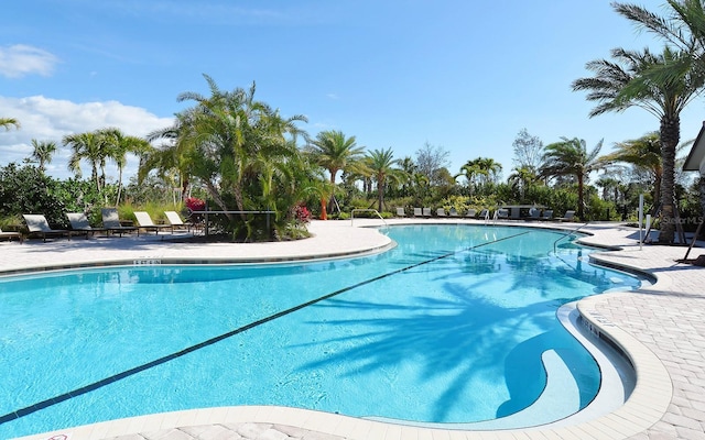 view of swimming pool