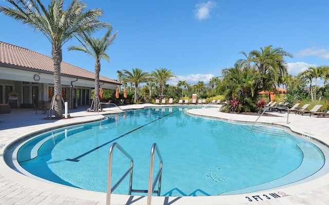 view of pool featuring a patio