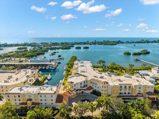 bird's eye view with a water view