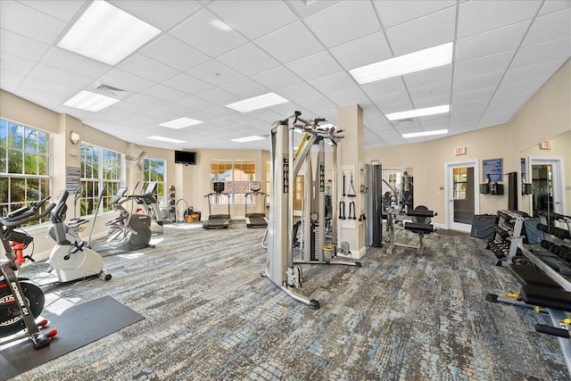 workout area featuring carpet flooring and a drop ceiling