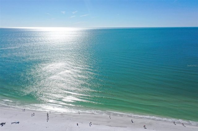 property view of water with a beach view