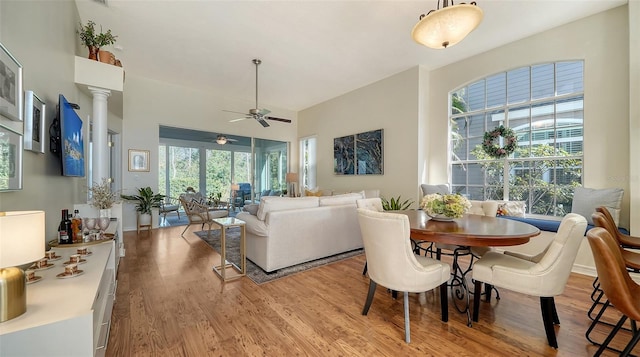 dining space with ceiling fan and light hardwood / wood-style floors