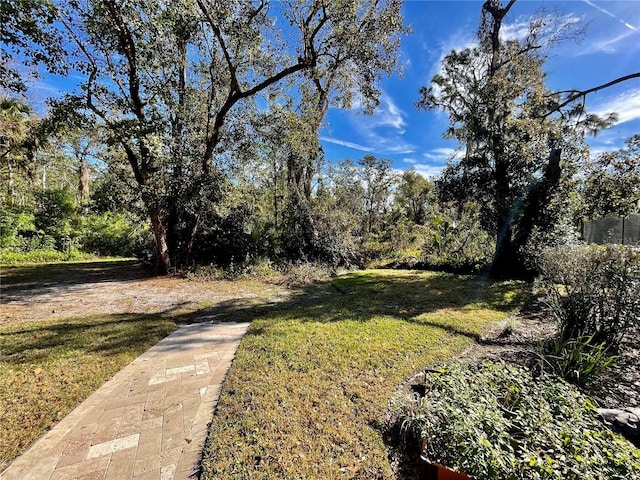 view of yard