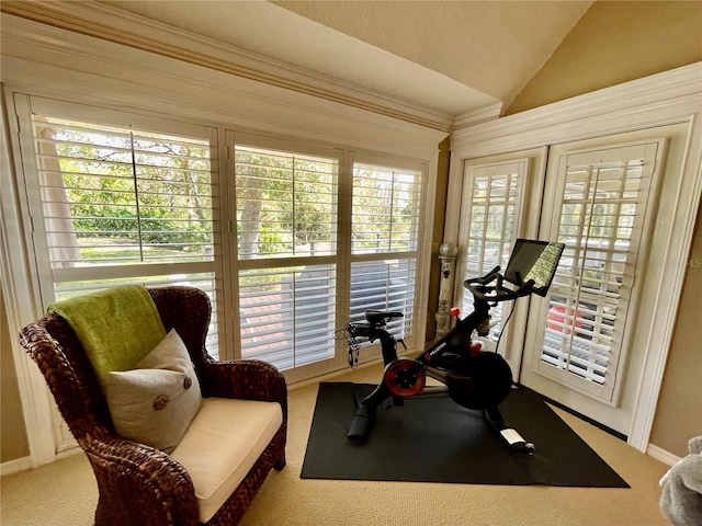 workout area featuring vaulted ceiling and carpet flooring