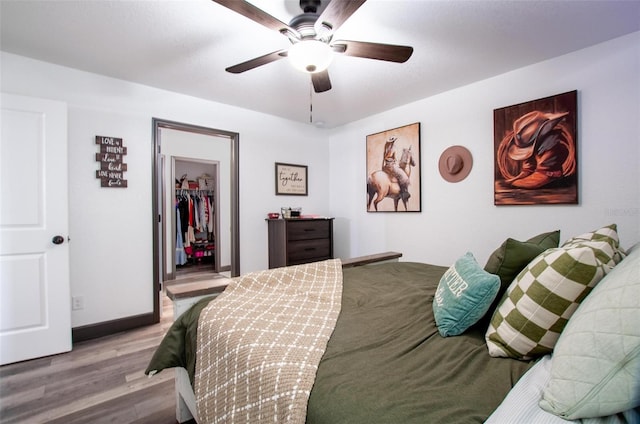 bedroom featuring a spacious closet, a closet, ceiling fan, and light wood-type flooring