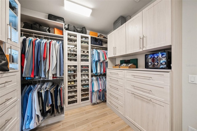 view of walk in closet