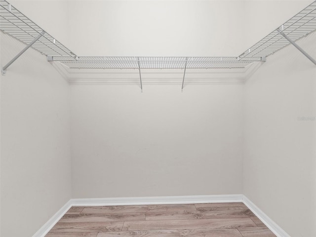 spacious closet featuring hardwood / wood-style floors