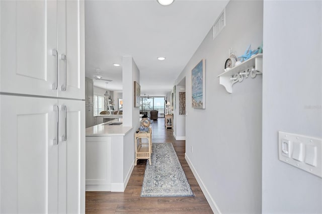 hallway featuring dark hardwood / wood-style flooring and sink