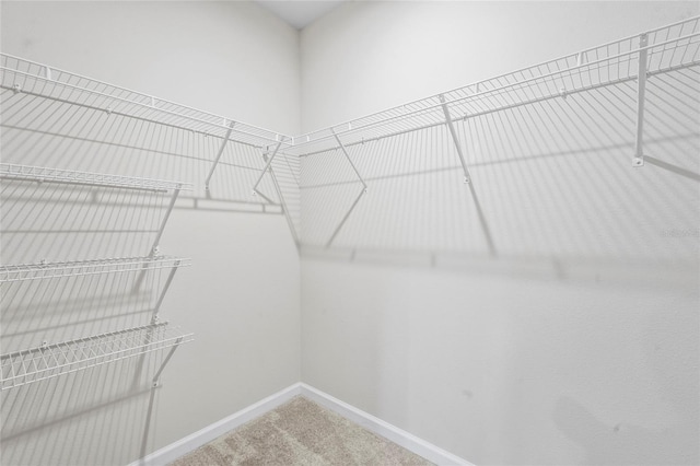 spacious closet with carpet floors