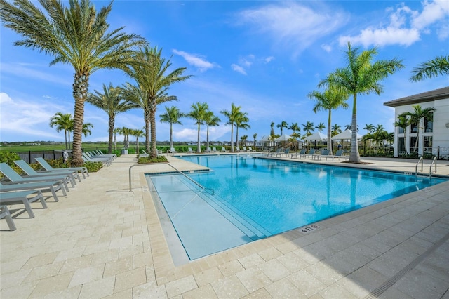 view of pool featuring a patio