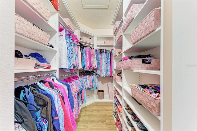 walk in closet with wood finished floors