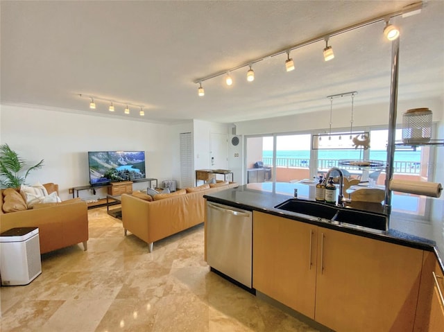 kitchen with pendant lighting, stainless steel dishwasher, and sink