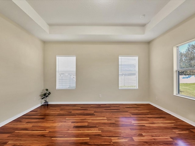 spare room featuring a healthy amount of sunlight, a tray ceiling, and dark hardwood / wood-style flooring