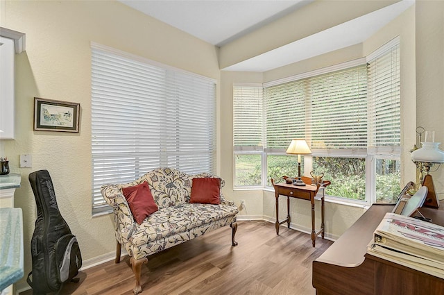 living area featuring light hardwood / wood-style flooring