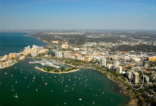 aerial view with a water view