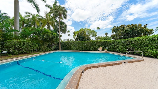 view of pool with a patio