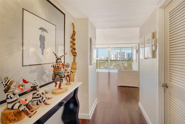 corridor featuring dark hardwood / wood-style floors