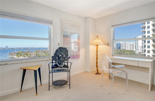 carpeted office space featuring a water view and a healthy amount of sunlight