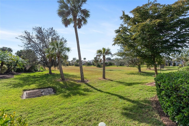 view of community featuring a yard