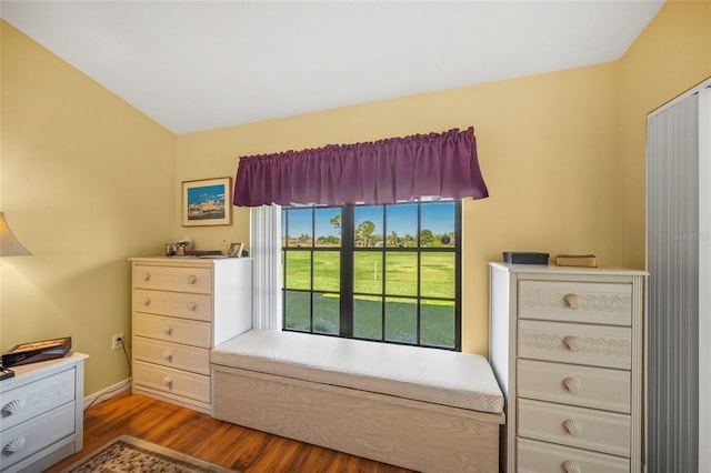 bedroom with wood-type flooring