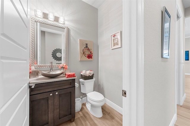 bathroom featuring vanity, wood-type flooring, and toilet