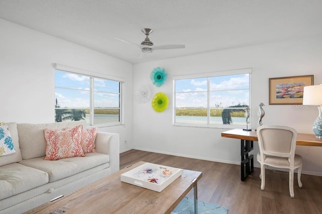 living room featuring hardwood / wood-style flooring and ceiling fan