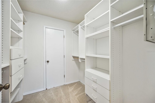 walk in closet with light carpet