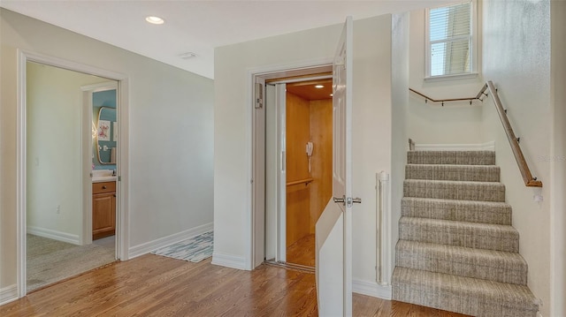 staircase with hardwood / wood-style flooring