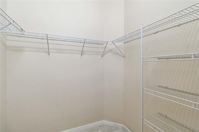 4891 Maymont Park Cir, Bradenton, FL 34203 - spacious closet featuring carpet floors