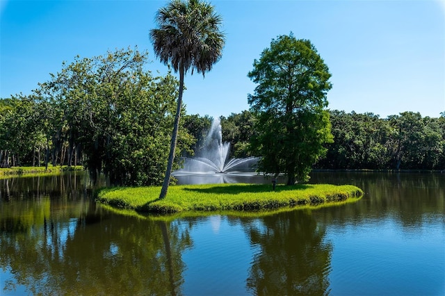 view of water feature