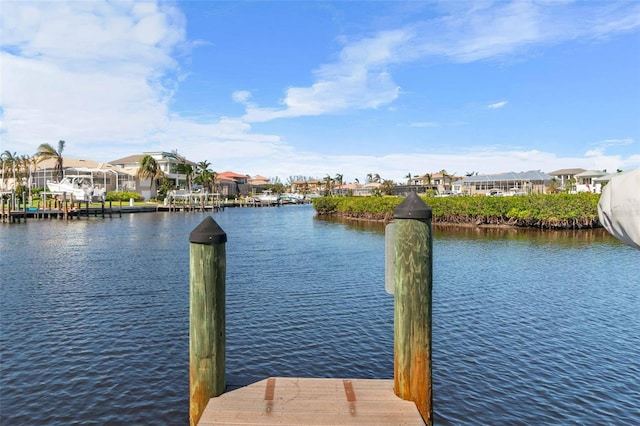 dock area with a water view