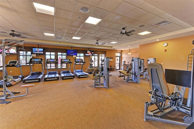 workout area featuring carpet floors, a drop ceiling, and ceiling fan