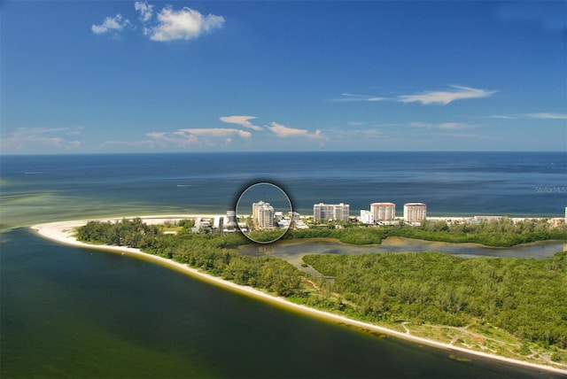 water view featuring a beach view