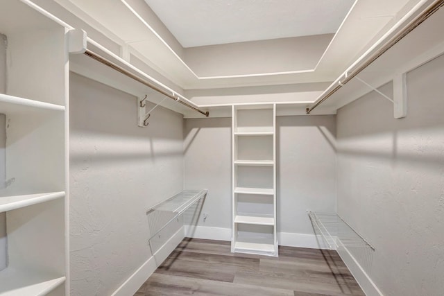 walk in closet with hardwood / wood-style flooring