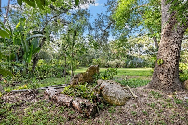 1343 Ranchero Dr, Sarasota, FL 34240 - photo 17