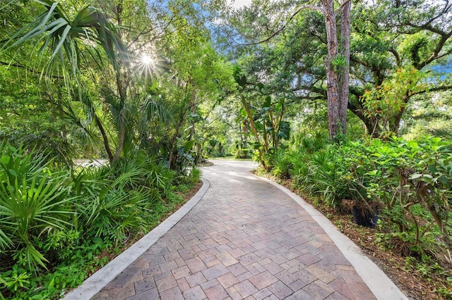 1343 Ranchero Dr, Sarasota, FL 34240 - photo 21