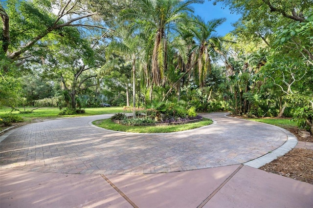 1343 Ranchero Dr, Sarasota, FL 34240 - photo 25