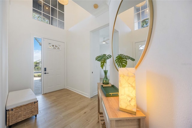 foyer featuring hardwood / wood-style flooring and a high ceiling