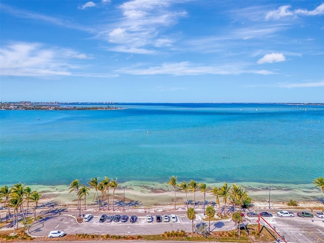 property view of water featuring a beach view