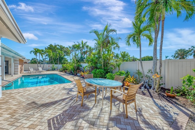 view of swimming pool with a patio area