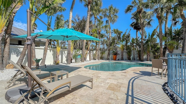 view of swimming pool with a patio