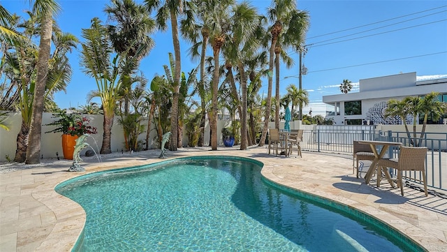 view of pool featuring a patio